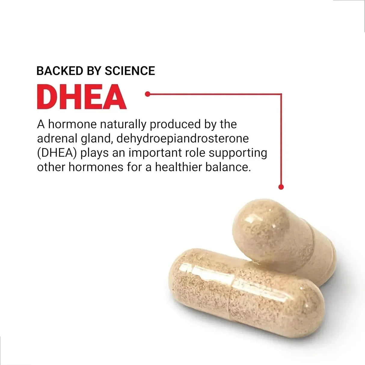 FORCE FACTOR - Force Factor DHEA 50Mg. 100 Capsulas - The Red Vitamin MX - Suplementos Alimenticios - {{ shop.shopifyCountryName }}