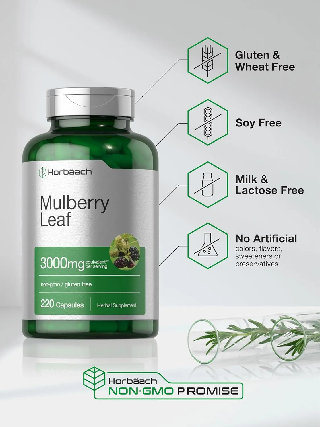 HORBAACH - Horbaach Mulberry Leaf Extract 3000Mg. 220 Capsulas - The Red Vitamin MX - Suplementos Alimenticios - {{ shop.shopifyCountryName }}