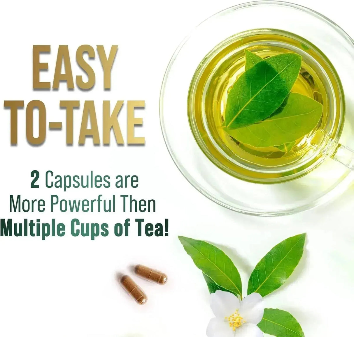 PURETEA - PureTea Green Tea Extract 1000Mg. 240 Capsulas - The Red Vitamin MX - Suplementos Alimenticios - {{ shop.shopifyCountryName }}