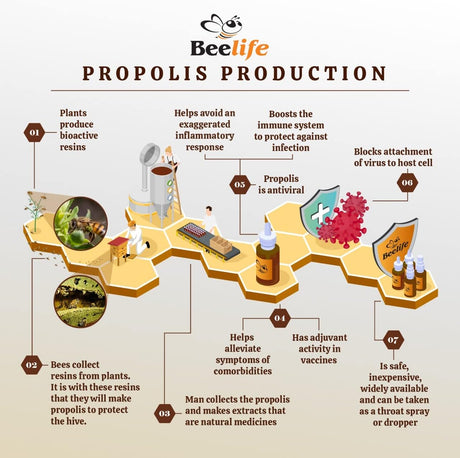 Beelife Propoflex Organic Green Propolis Extract 30Ml.