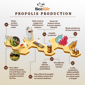 Beelife Propoflex Green Propolis Extract 15% Extract 30Ml.