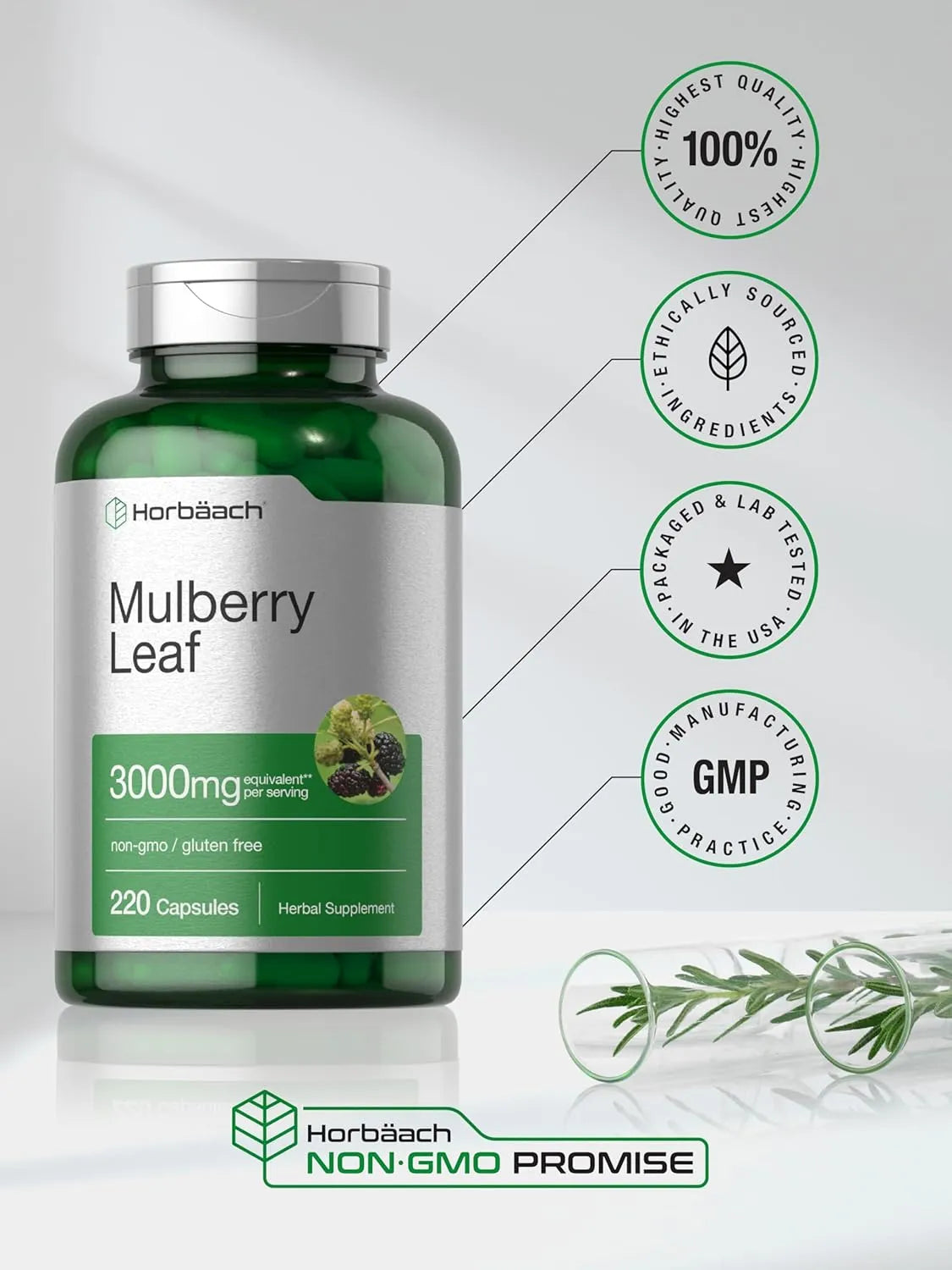 HORBAACH - Horbaach Mulberry Leaf Extract 3000Mg. 220 Capsulas - The Red Vitamin MX - Suplementos Alimenticios - {{ shop.shopifyCountryName }}