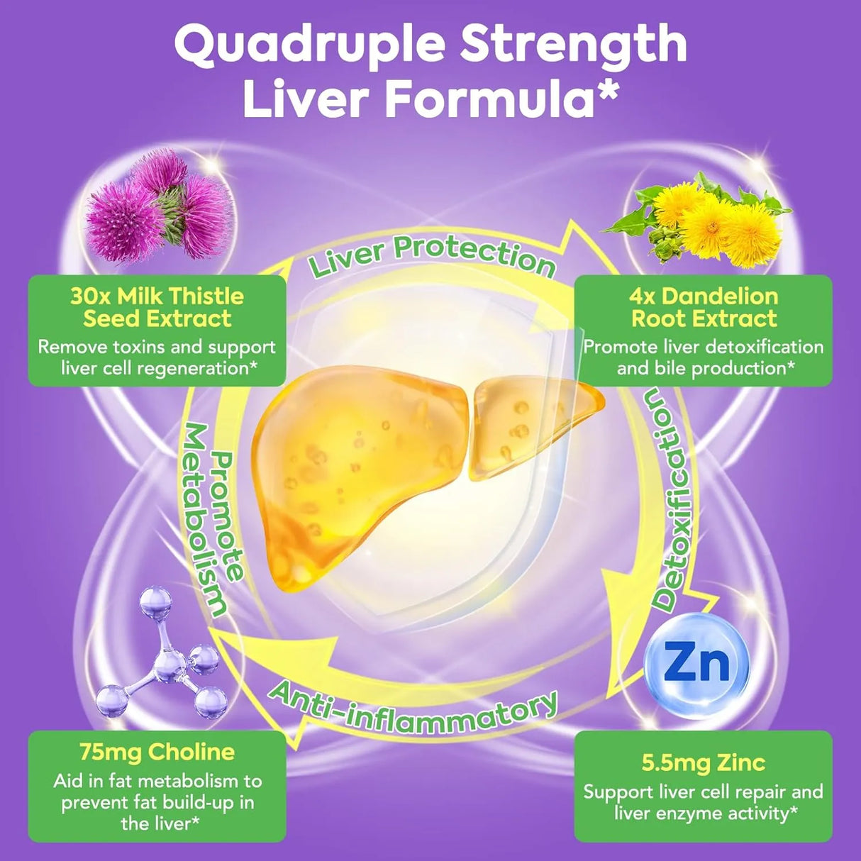 SUREBOUNTY - Surebounty 4-in-1 Milk Thistle Complex 90 Capsulas - The Red Vitamin MX - Suplementos Alimenticios - {{ shop.shopifyCountryName }}