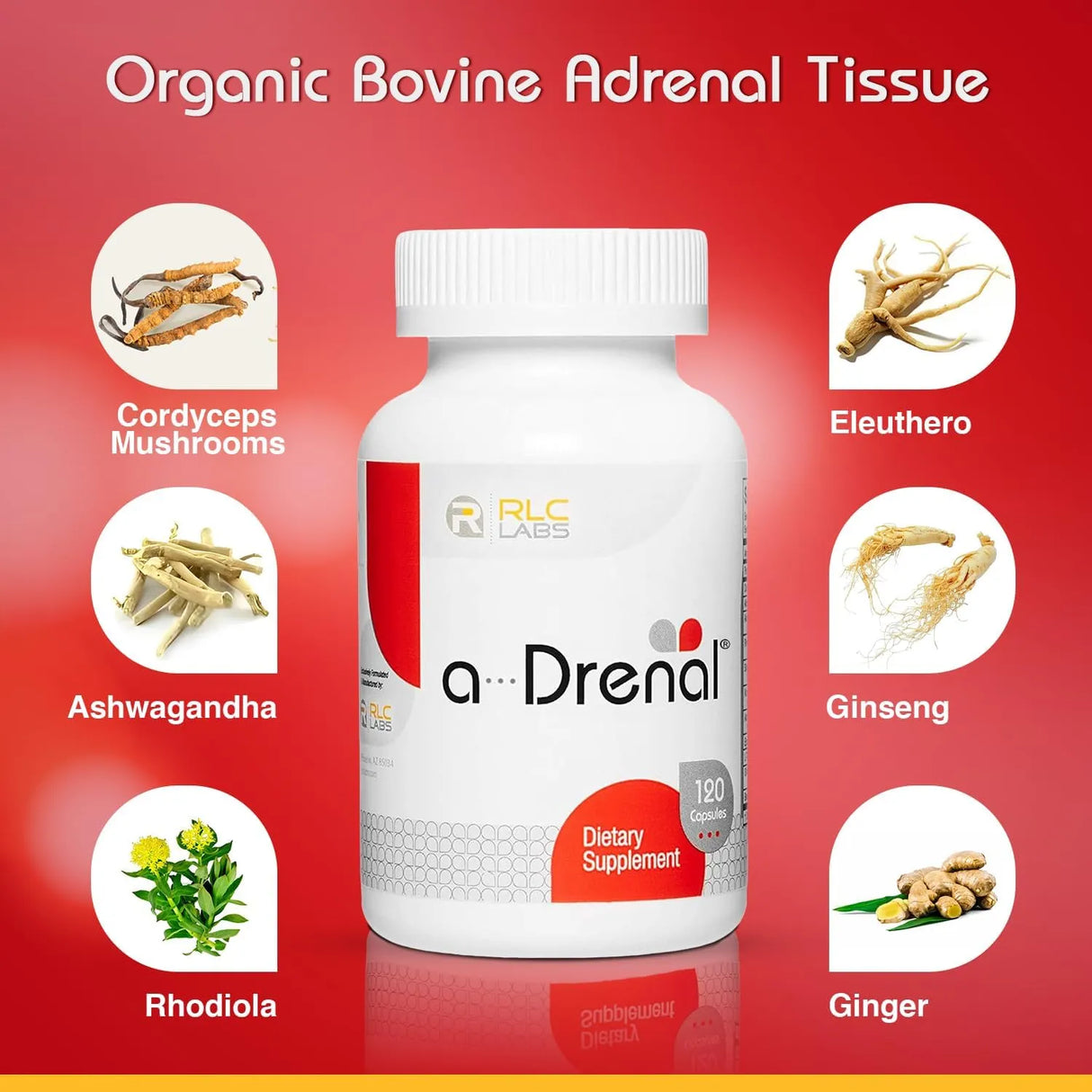 RLC - RLC a-Drenal Support 120 Capsulas - The Red Vitamin MX - Suplementos Alimenticios - {{ shop.shopifyCountryName }}