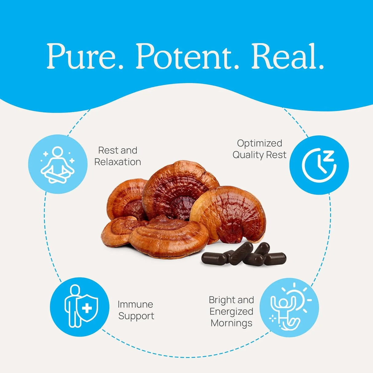 REAL MUSHROOMS - Real Mushrooms RealRest 60 Capsulas - The Red Vitamin MX - Suplementos Alimenticios - {{ shop.shopifyCountryName }}