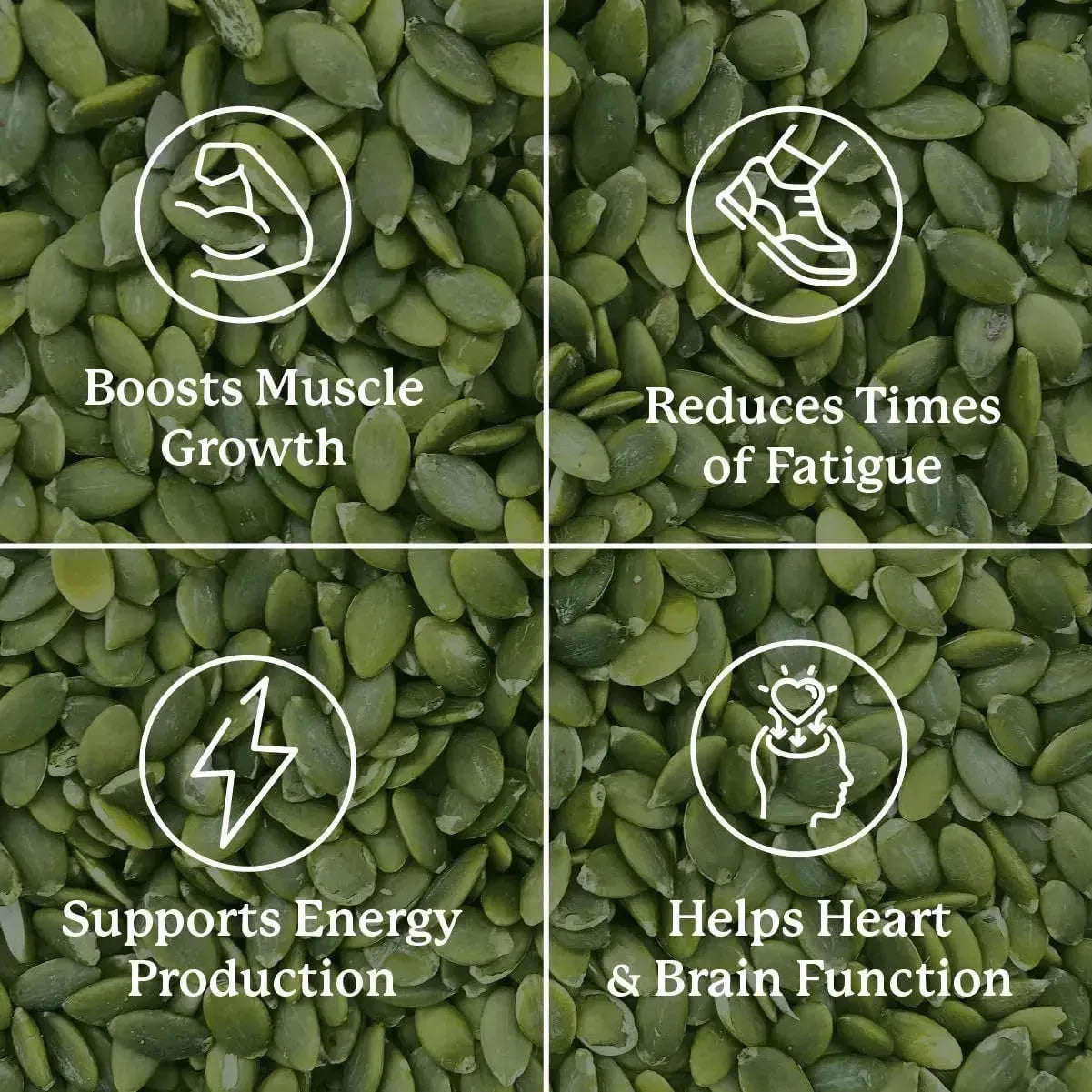 NATURES SUNSHINE - Nature’s Sunshine Magnesium Complex 100 Capsulas - The Red Vitamin MX - Suplementos Alimenticios - {{ shop.shopifyCountryName }}