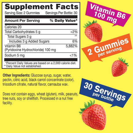 WellYeah High Potency Vitamin B6 Gummies 60 Gomitas