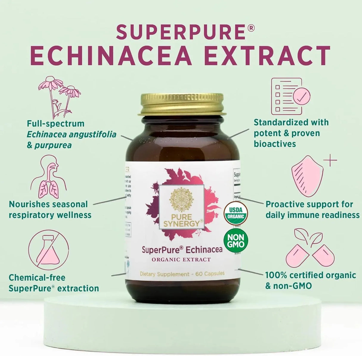 PURE SYNERGY - PURE SYNERGY SuperPure Echinacea Extract 60 Capsulas - The Red Vitamin MX - Suplementos Alimenticios - {{ shop.shopifyCountryName }}