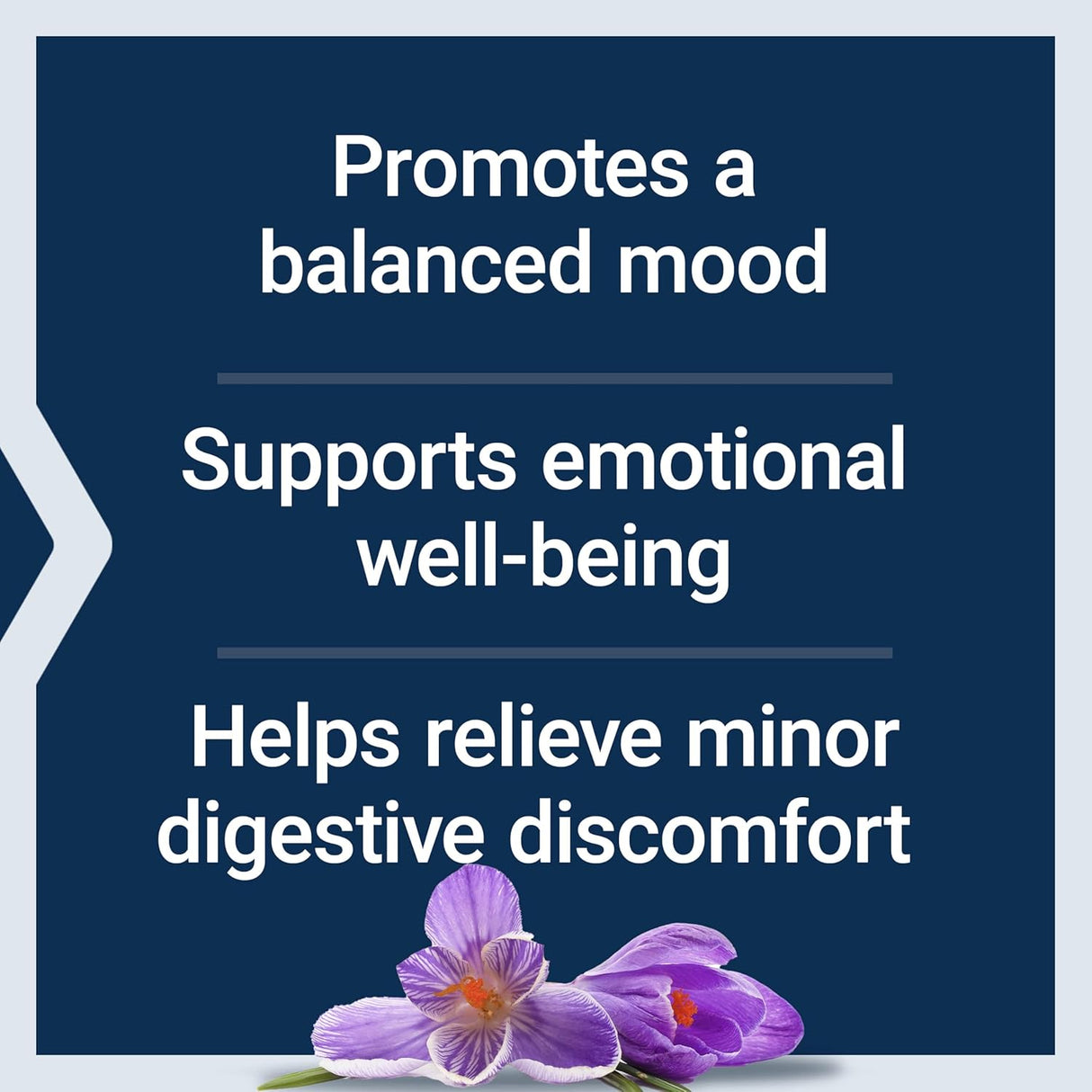 Life Extension Mood Improve Probiotic & Saffron Blend 30 Capsulas