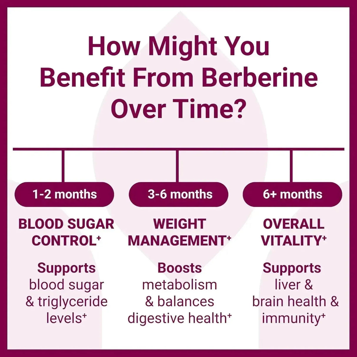 LUMA NUTRITION - Luma Nutrition Berberine 1200Mg. 60 Capsulas - The Red Vitamin MX - Suplementos Alimenticios - {{ shop.shopifyCountryName }}