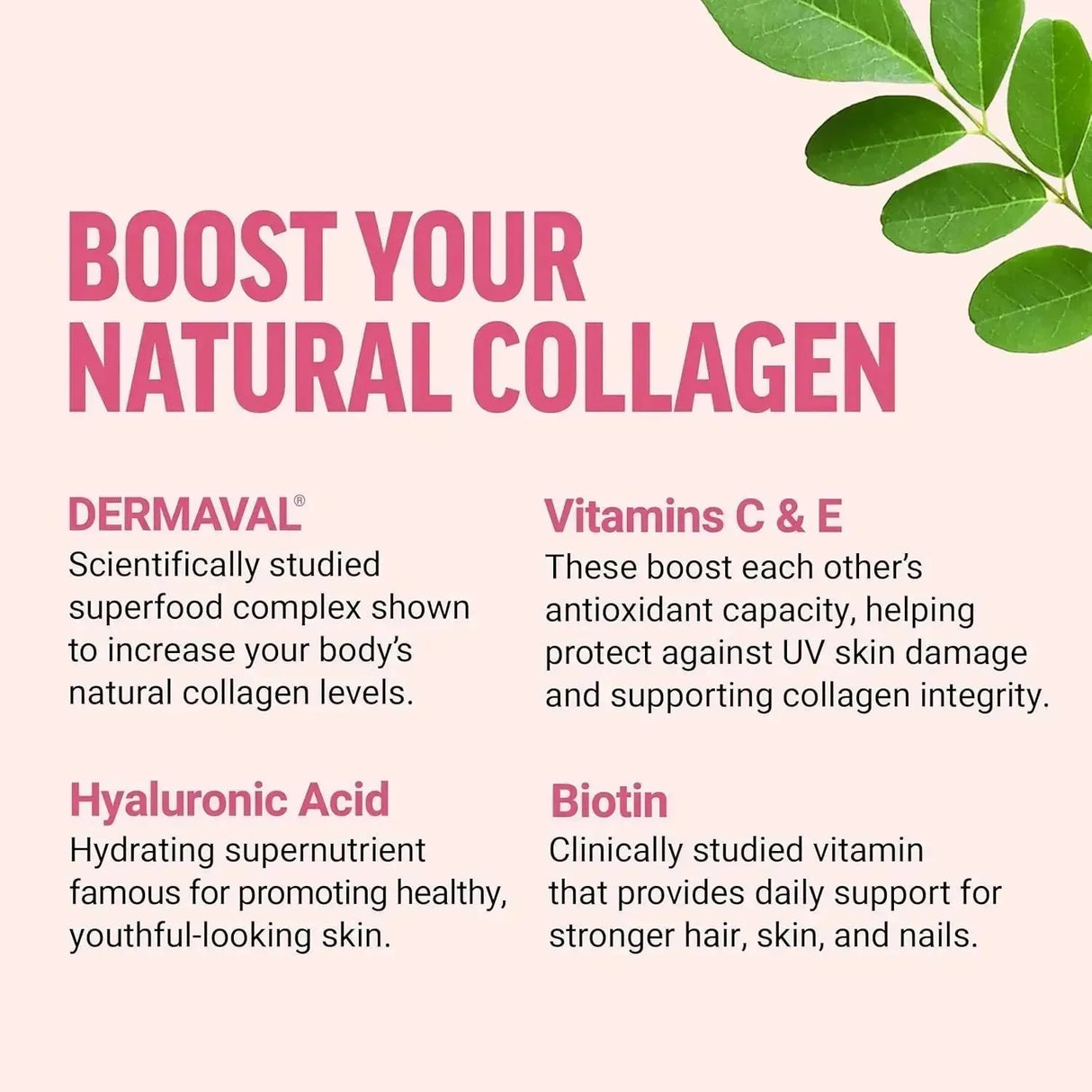 FORCE FACTOR - Force Factor Collagen Boosting Superfoods 60 Masticables - The Red Vitamin MX - Suplementos Alimenticios - {{ shop.shopifyCountryName }}