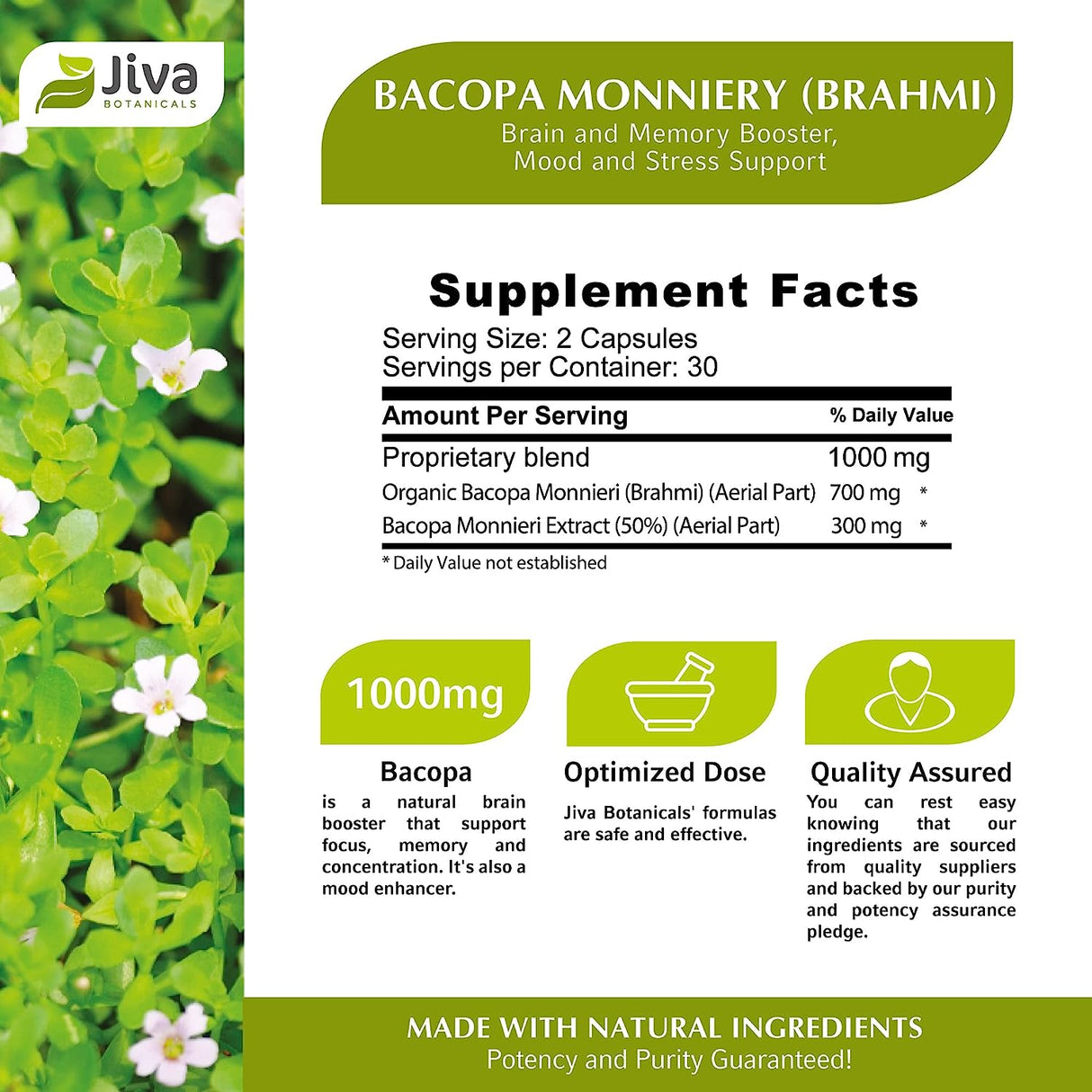 Jiva Botanicals Bacopa Monnieri/Brahmi 300Mg. 60 Capsulas