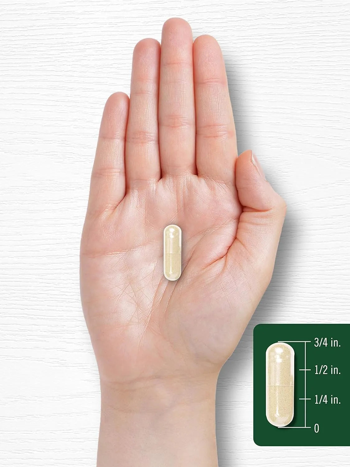 CARLYLE - Carlyle White Kidney Bean 6000Mg. 200 Capsulas - The Red Vitamin MX - Suplementos Alimenticios - {{ shop.shopifyCountryName }}
