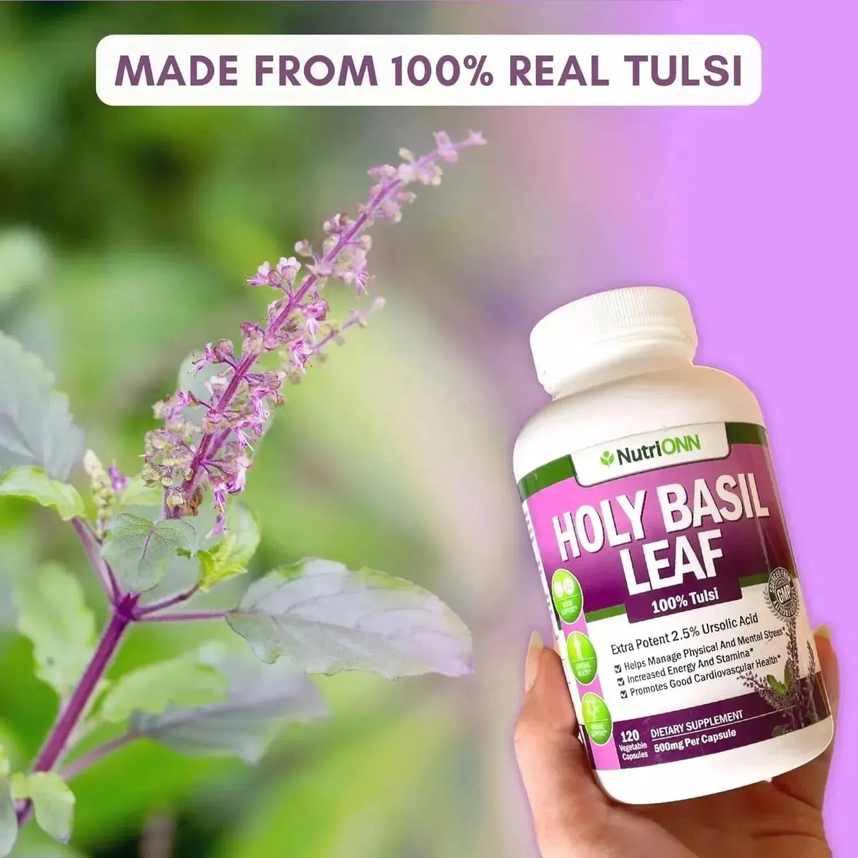 NUTRIONN - NutriONN Holy Basil Leaf 500Mg. 120 Capsulas - The Red Vitamin MX - Suplementos Alimenticios - {{ shop.shopifyCountryName }}