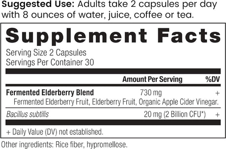 Ancient Nutrition Elderberry and Probiotics Supplement 60 Capsulas