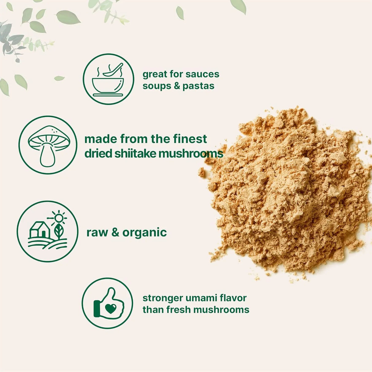 MICRO INGREDIENTS - Micro Ingredients Organic Shiitake Mushrooms Powder 227Gr. - The Red Vitamin MX - Suplementos Alimenticios - {{ shop.shopifyCountryName }}