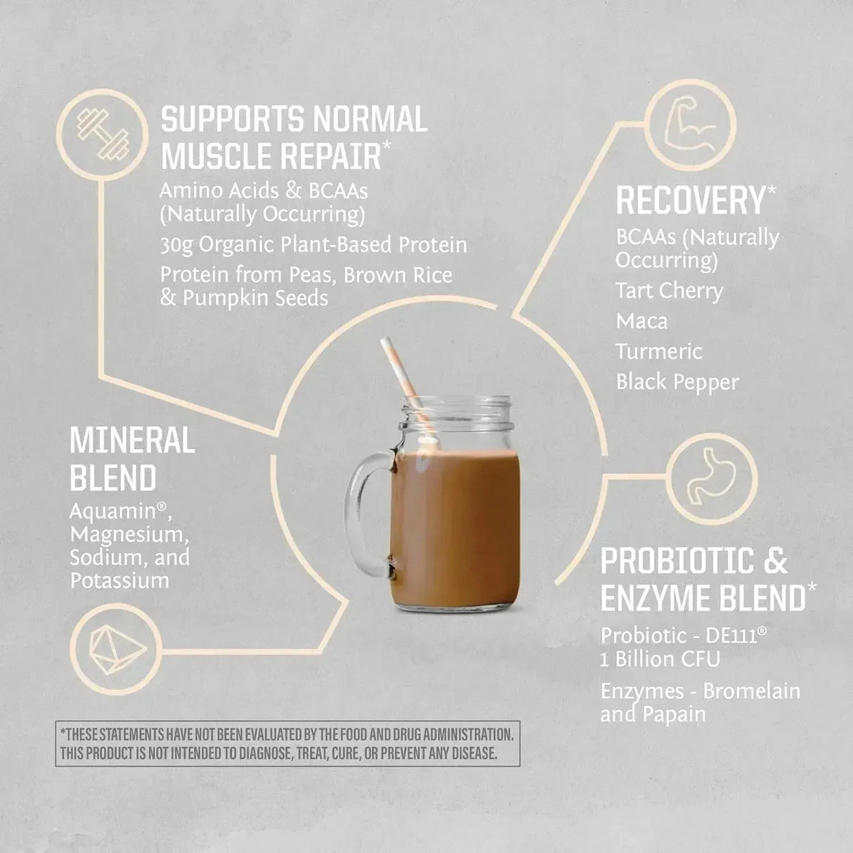 SUNWARRIOR - Sunwarrior Vegan Protein Powder Chocolate 20 Servicios 1 Kg. - The Red Vitamin MX - Suplementos Alimenticios - {{ shop.shopifyCountryName }}