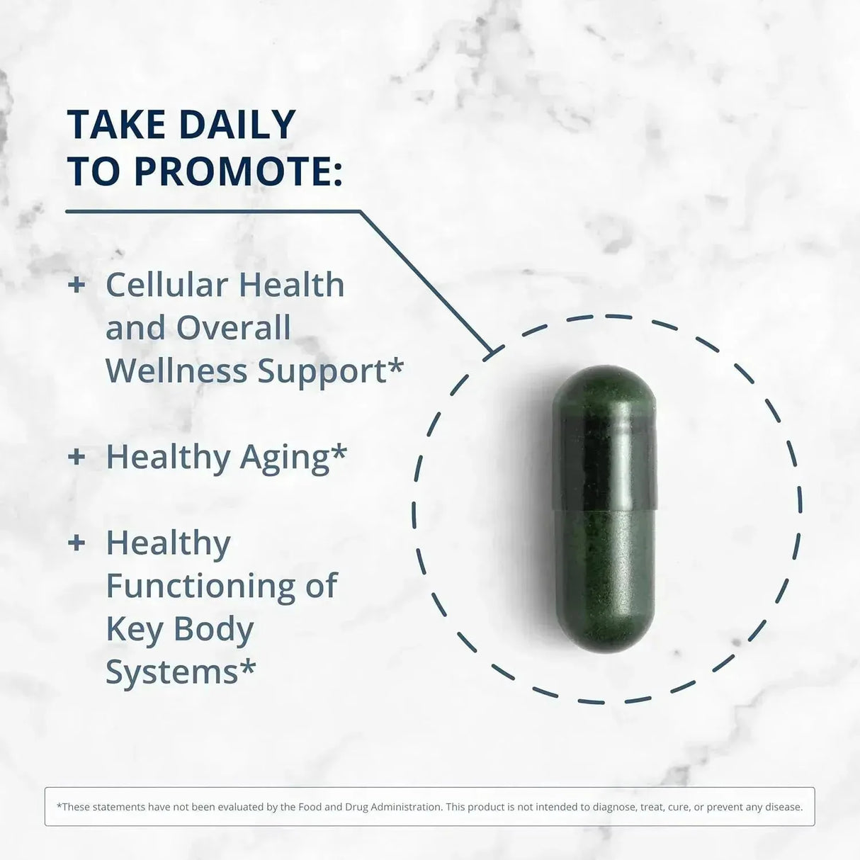 METAGENICS - Metagenics PhytoMulti Multivitamin 60 Capsulas - The Red Vitamin MX - Suplementos Alimenticios - {{ shop.shopifyCountryName }}