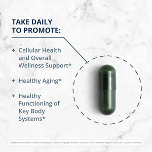 METAGENICS - Metagenics PhytoMulti Multivitamin 60 Capsulas - The Red Vitamin MX - Suplementos Alimenticios - {{ shop.shopifyCountryName }}