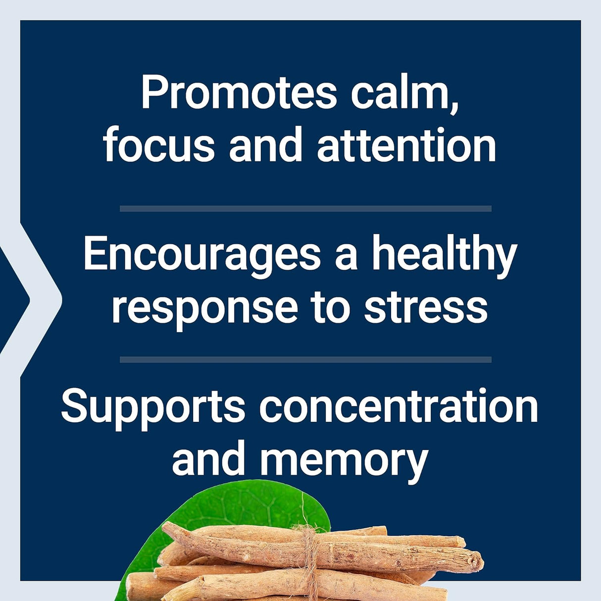 Life Extension Ashwagandha Plus Calm & Focus 60 Capsulas