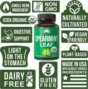 PEAK PERFORMANCE - Peak Performance Spearmint Leaf 60 Capsulas - The Red Vitamin MX - Suplementos Alimenticios - {{ shop.shopifyCountryName }}