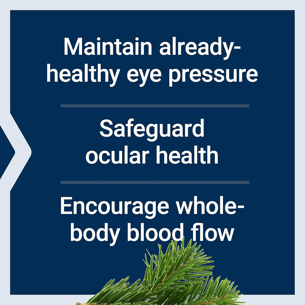 Life Extension Eye Pressure Support with Mirtogenol 30 Capsulas