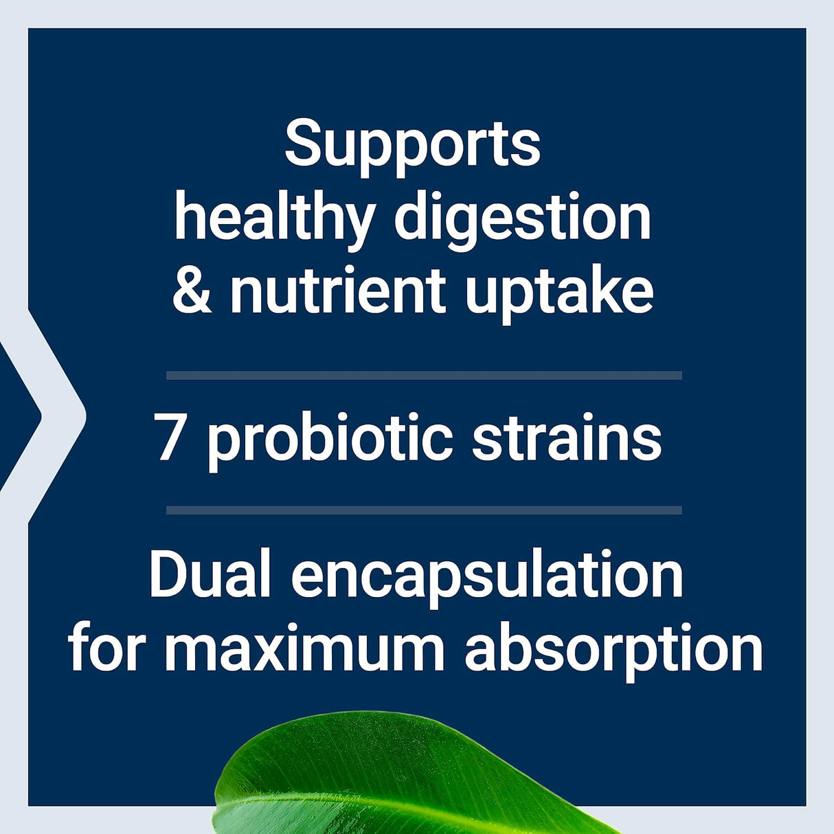 Life Extension FLORASSIST GI with Phage Technology 90 Capsulas