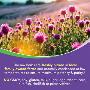 SUREBOUNTY - Surebounty 4-in-1 Milk Thistle Complex 90 Capsulas - The Red Vitamin MX - Suplementos Alimenticios - {{ shop.shopifyCountryName }}