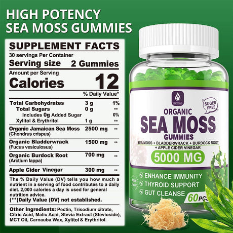 EnvyDeal Sugar Free Sea Moss Gummies 5000Mg. 60 Gomitas