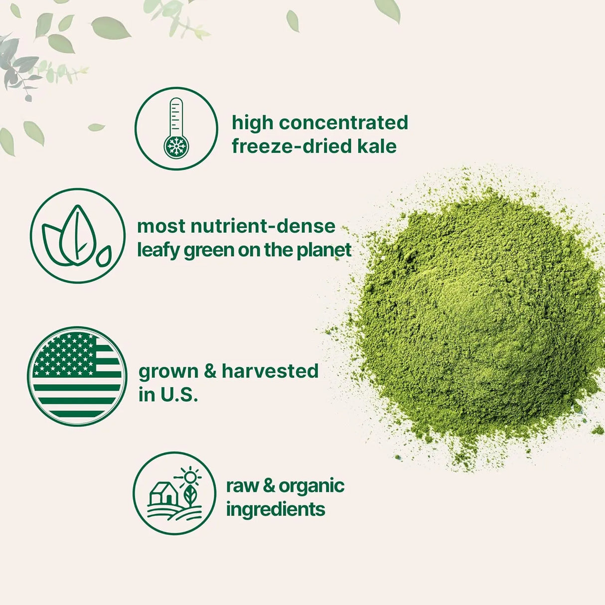 MICRO INGREDIENTS - Micro Ingredients Organic Kale Powder 907Gr. - The Red Vitamin MX - Suplementos Alimenticios - {{ shop.shopifyCountryName }}