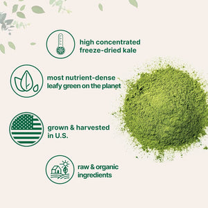 MICRO INGREDIENTS - Micro Ingredients Organic Kale Powder 907Gr. - The Red Vitamin MX - Suplementos Alimenticios - {{ shop.shopifyCountryName }}
