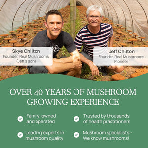 REAL MUSHROOMS - Real Mushrooms 5 Defenders 200 Capsulas - The Red Vitamin MX - Suplementos Alimenticios - {{ shop.shopifyCountryName }}