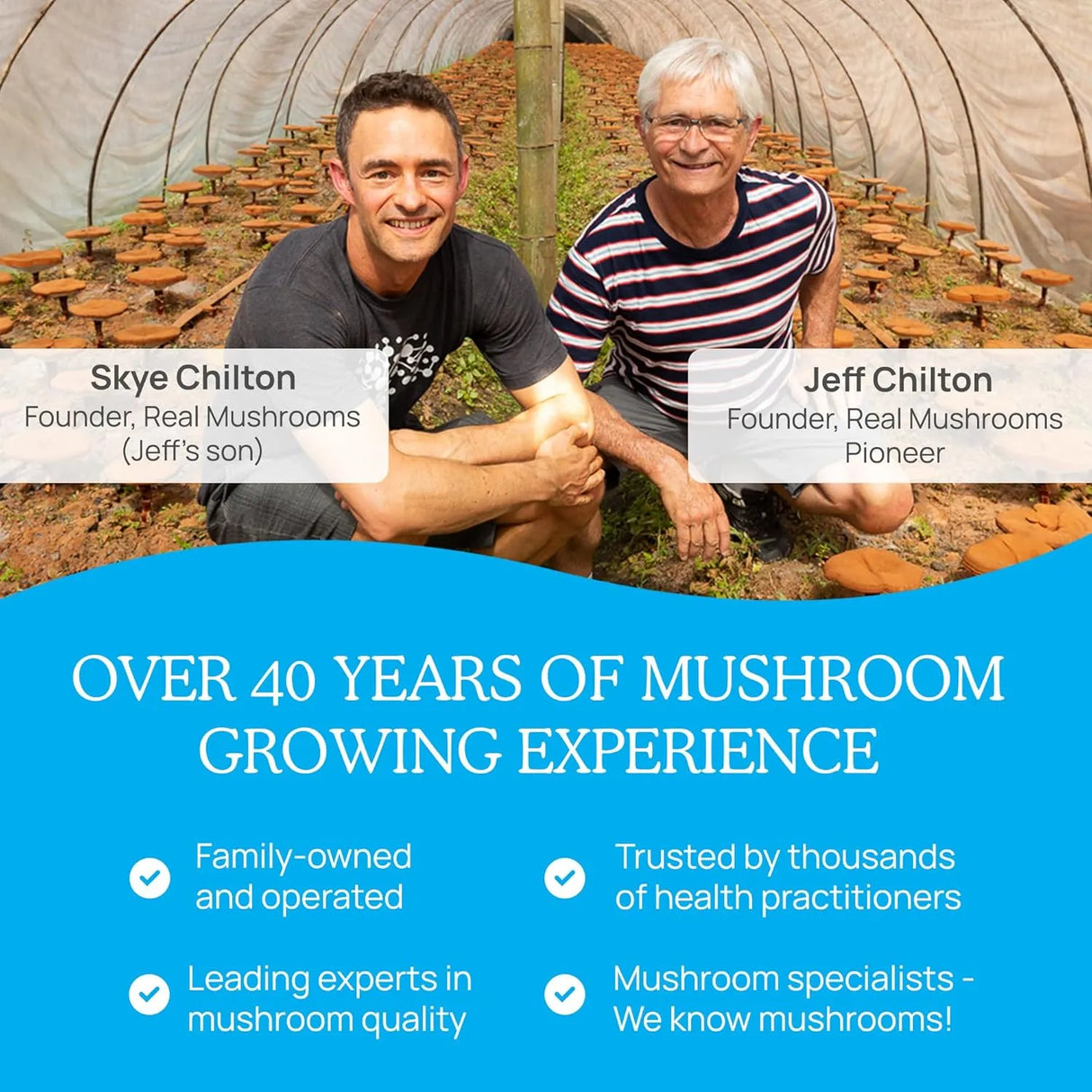 REAL MUSHROOMS - Real Mushrooms RealRest 60 Capsulas - The Red Vitamin MX - Suplementos Alimenticios - {{ shop.shopifyCountryName }}