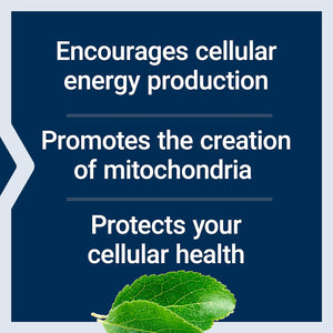 Life Extension Mitochondrial Energy Optimizer with PQQ 120 Capsulas