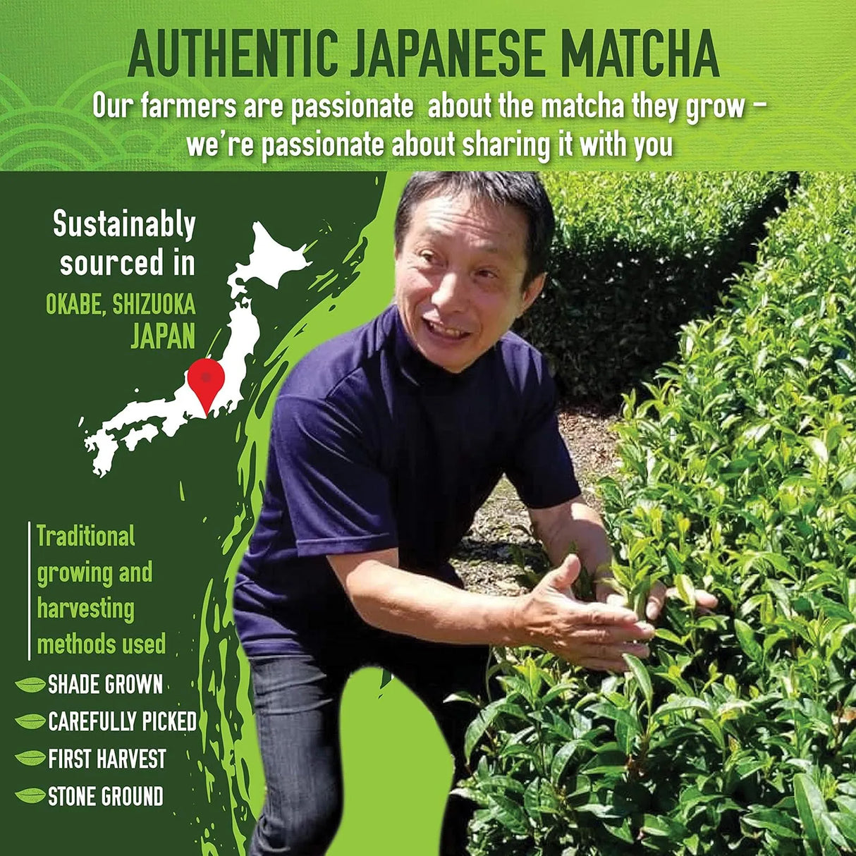 MATCHA ORGANICS - Matcha Organics Premium Ceremonial Grade Matcha Green Tea Powder 30Gr. - The Red Vitamin MX - Suplementos Alimenticios - {{ shop.shopifyCountryName }}