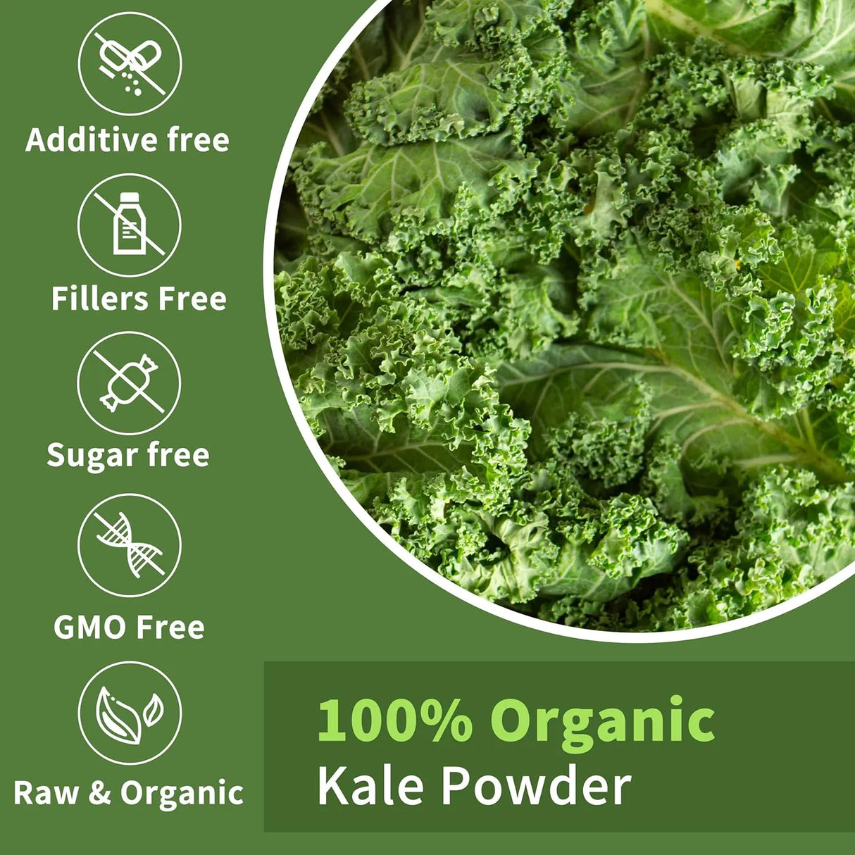 HUDETEX - Hudetex Kale Powder Organic 226Gr. - The Red Vitamin MX - Suplementos Alimenticios - {{ shop.shopifyCountryName }}