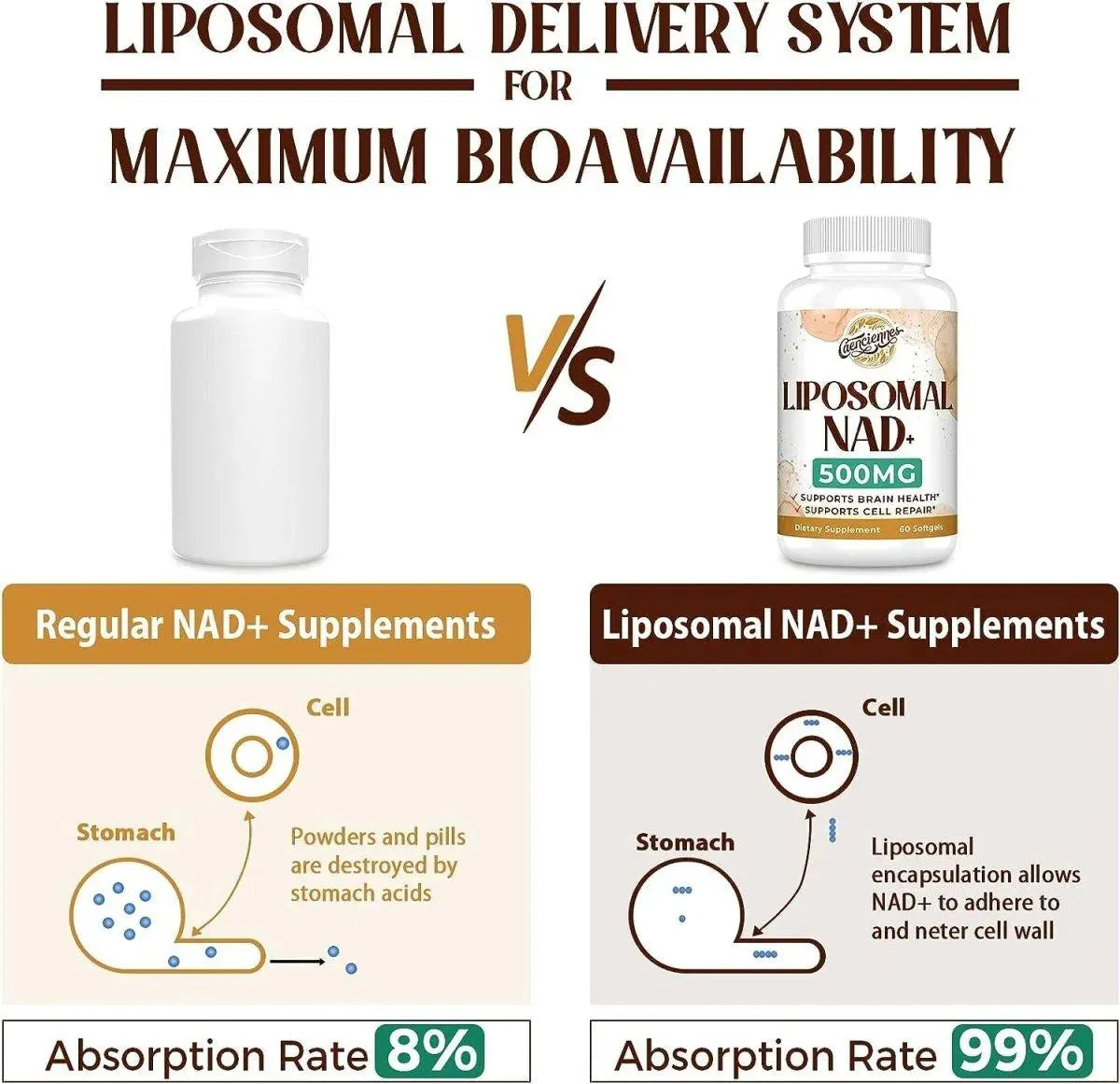CAENCIENNES - Caenciennes Liposomal NAD+ 500Mg. 60 Capsulas Blandas - The Red Vitamin MX - Suplementos Alimenticios - {{ shop.shopifyCountryName }}