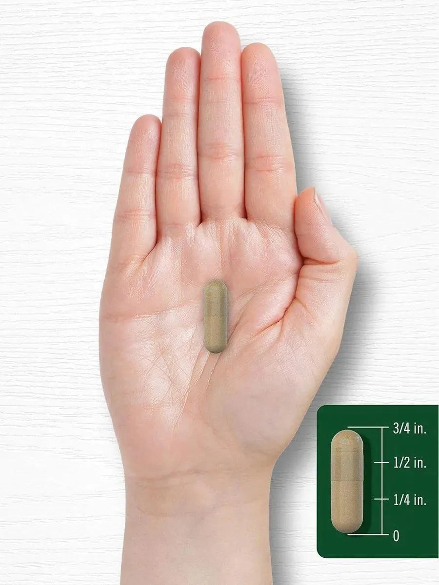 CARLYLE - Carlyle Gotu Kola 1500Mg. 180 Capsulas - The Red Vitamin MX - Suplementos Alimenticios - {{ shop.shopifyCountryName }}