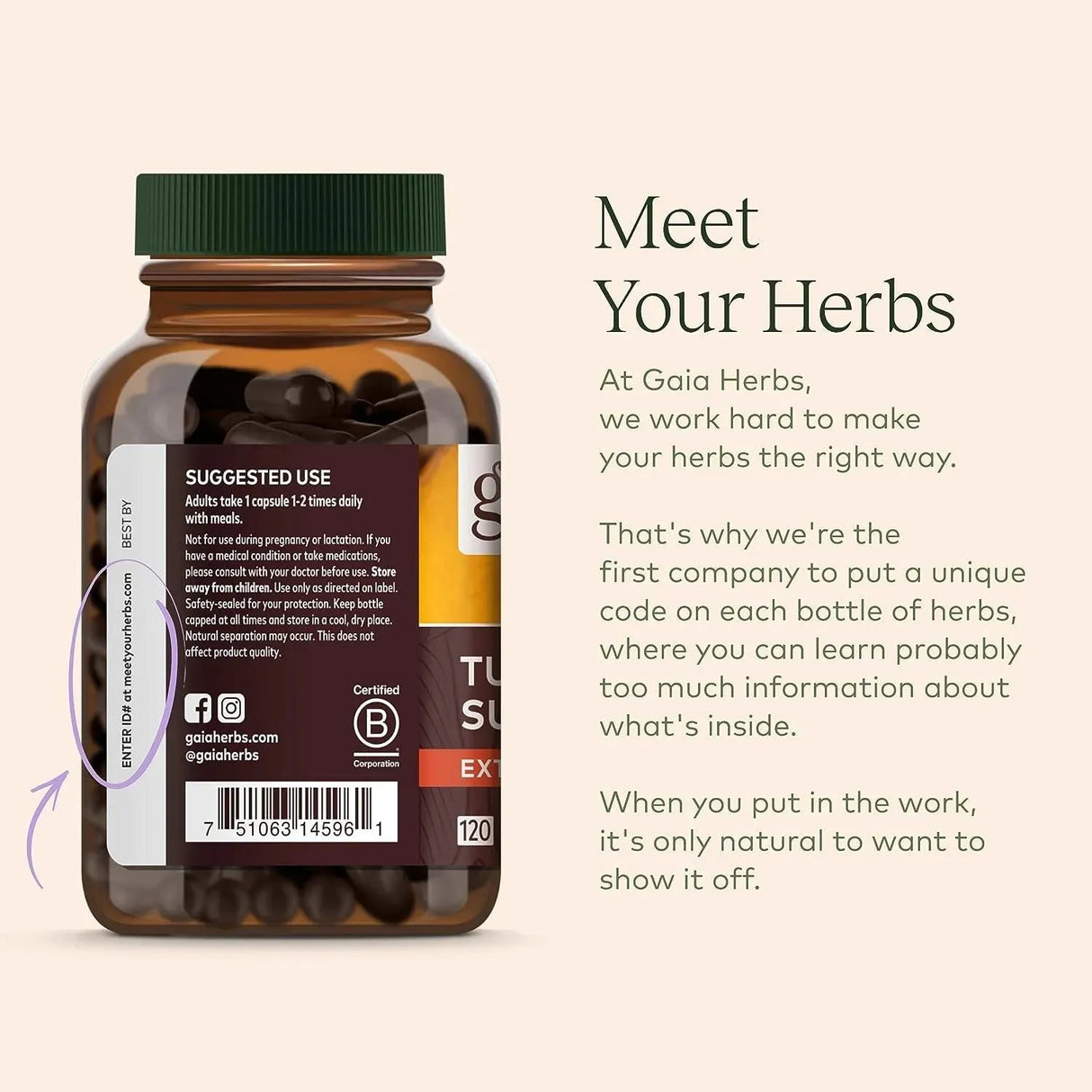GAIA HERBS - Gaia Herbs Rhodiola Rosea 60 Capsulas - The Red Vitamin MX - Suplementos Alimenticios - {{ shop.shopifyCountryName }}