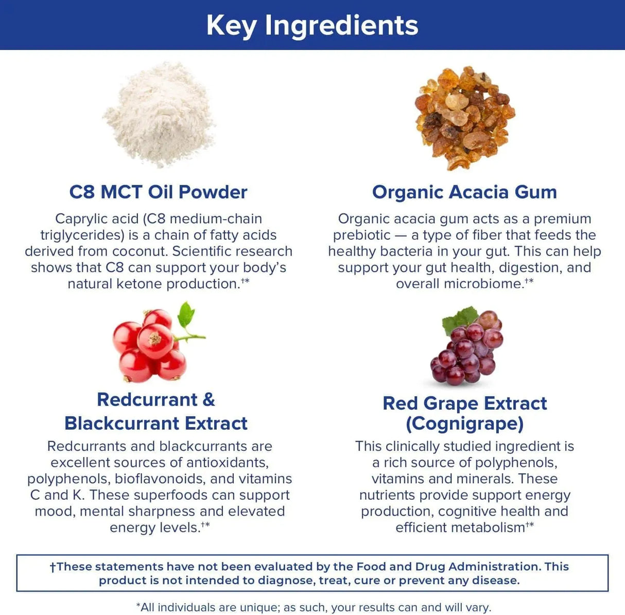 GUNDRY MD - Gundry MD MCT Wellness Powder to Support Energy Blueberry Lemonade 234Gr. - The Red Vitamin MX - Suplementos Alimenticios - {{ shop.shopifyCountryName }}