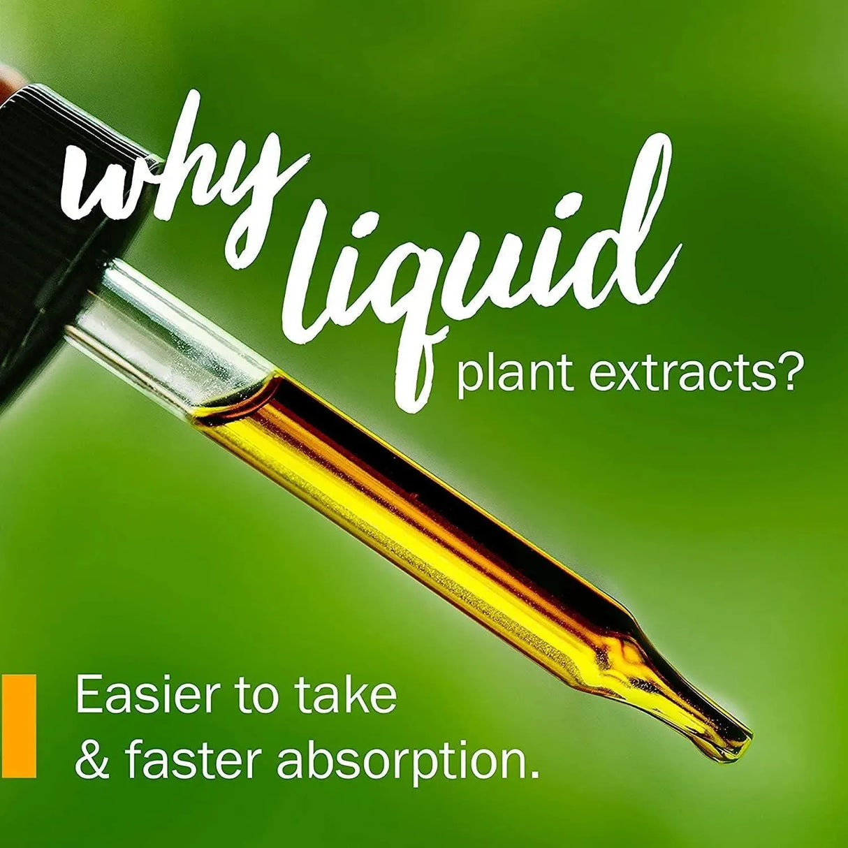 HERB PHARM - Herb Pharm Certified Organic Gotu Kola Liquid Extract 120Ml. - The Red Vitamin MX - Suplementos Alimenticios - {{ shop.shopifyCountryName }}