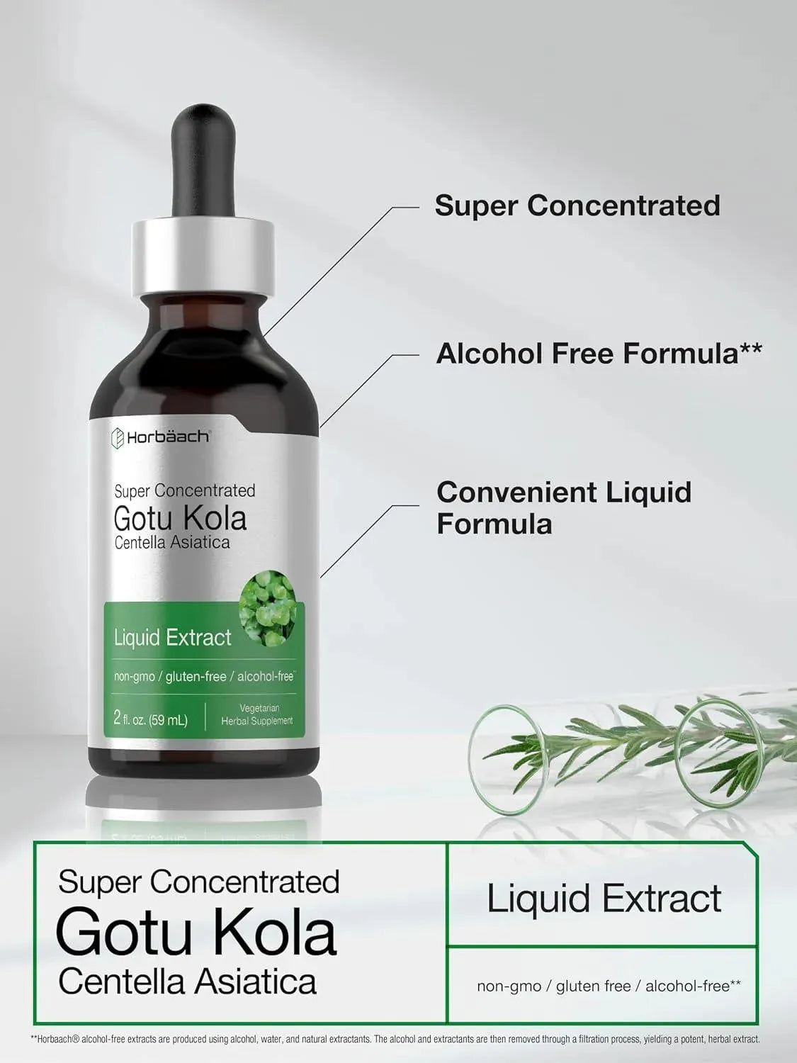 HORBAACH - Horbaach Gotu Kola Extract 59Ml. - The Red Vitamin MX - Suplementos Alimenticios - {{ shop.shopifyCountryName }}