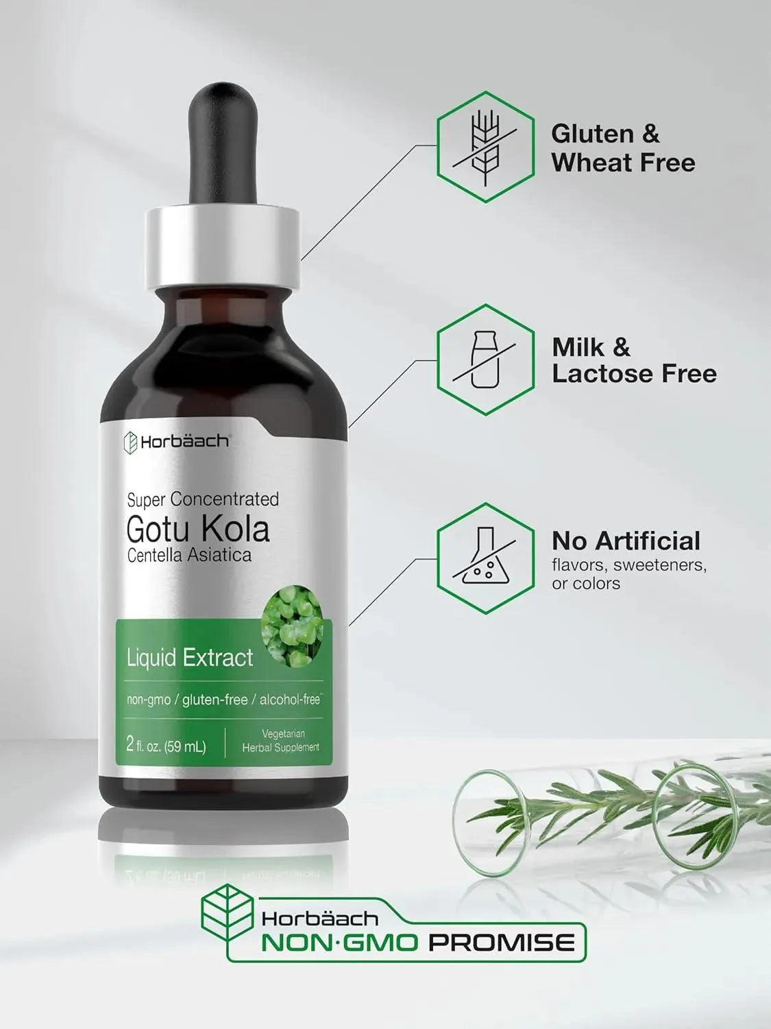 HORBAACH - Horbaach Gotu Kola Extract 59Ml. - The Red Vitamin MX - Suplementos Alimenticios - {{ shop.shopifyCountryName }}