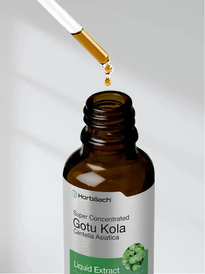 HORBAACH - Horbaach Gotu Kola Extract 59Ml. - The Red Vitamin MX - Suplementos Alimenticios - {{ shop.shopifyCountryName }}