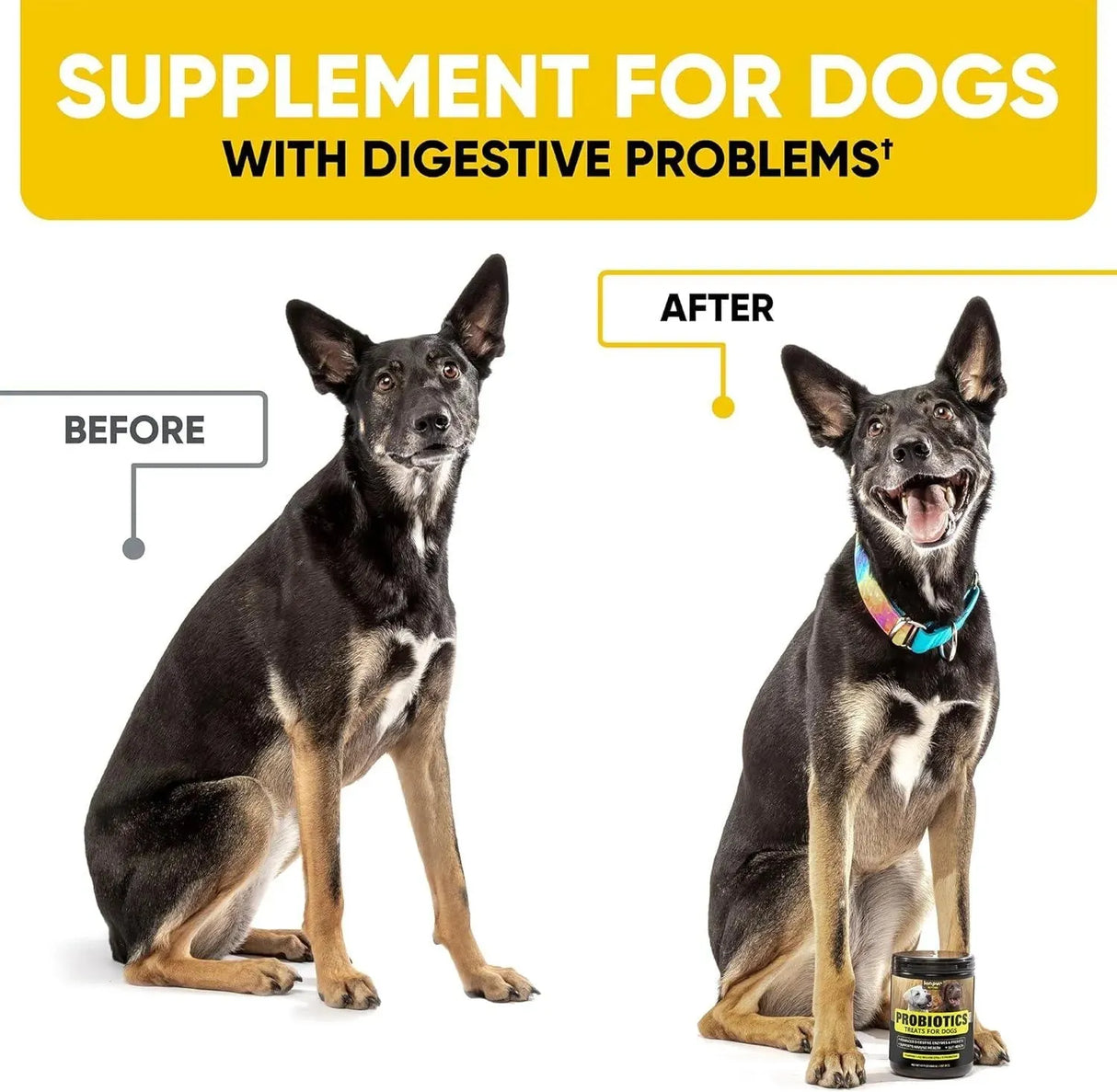 KINPUR PET CARE - Kinpur Pet Care Probiotics for Dogs 180 Masticables - The Red Vitamin MX - Probióticos Para Perros - {{ shop.shopifyCountryName }}