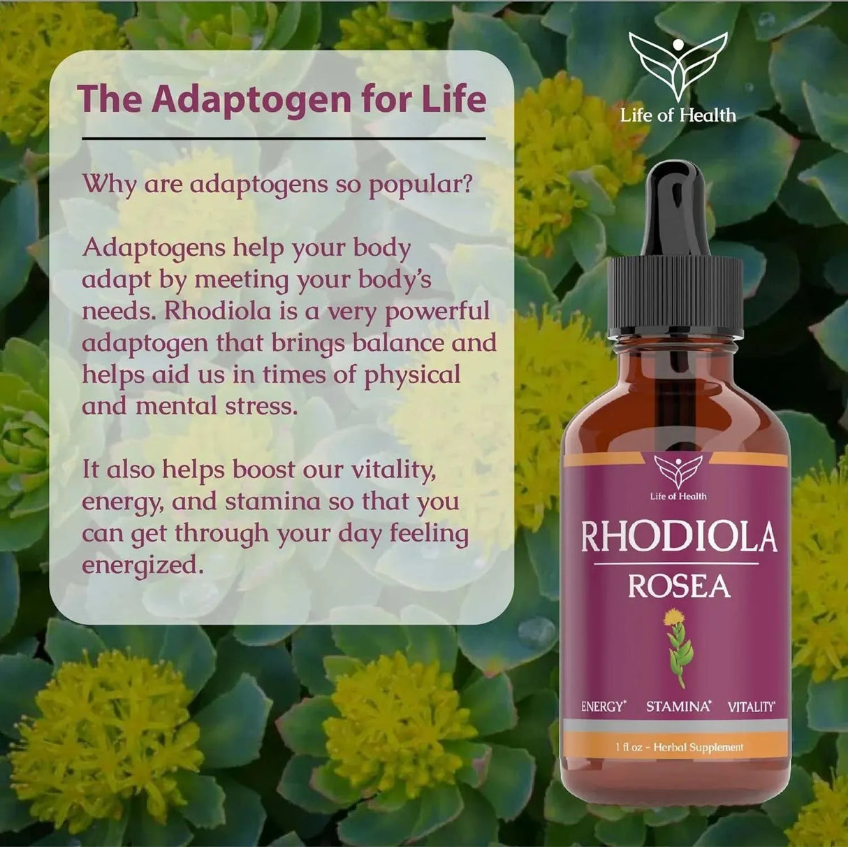 LIFE OF HEALTH - Life of Health Rhodiola Rosea Tincture 1 Fl.Oz. 2 Pack - The Red Vitamin MX - Suplementos Alimenticios - {{ shop.shopifyCountryName }}