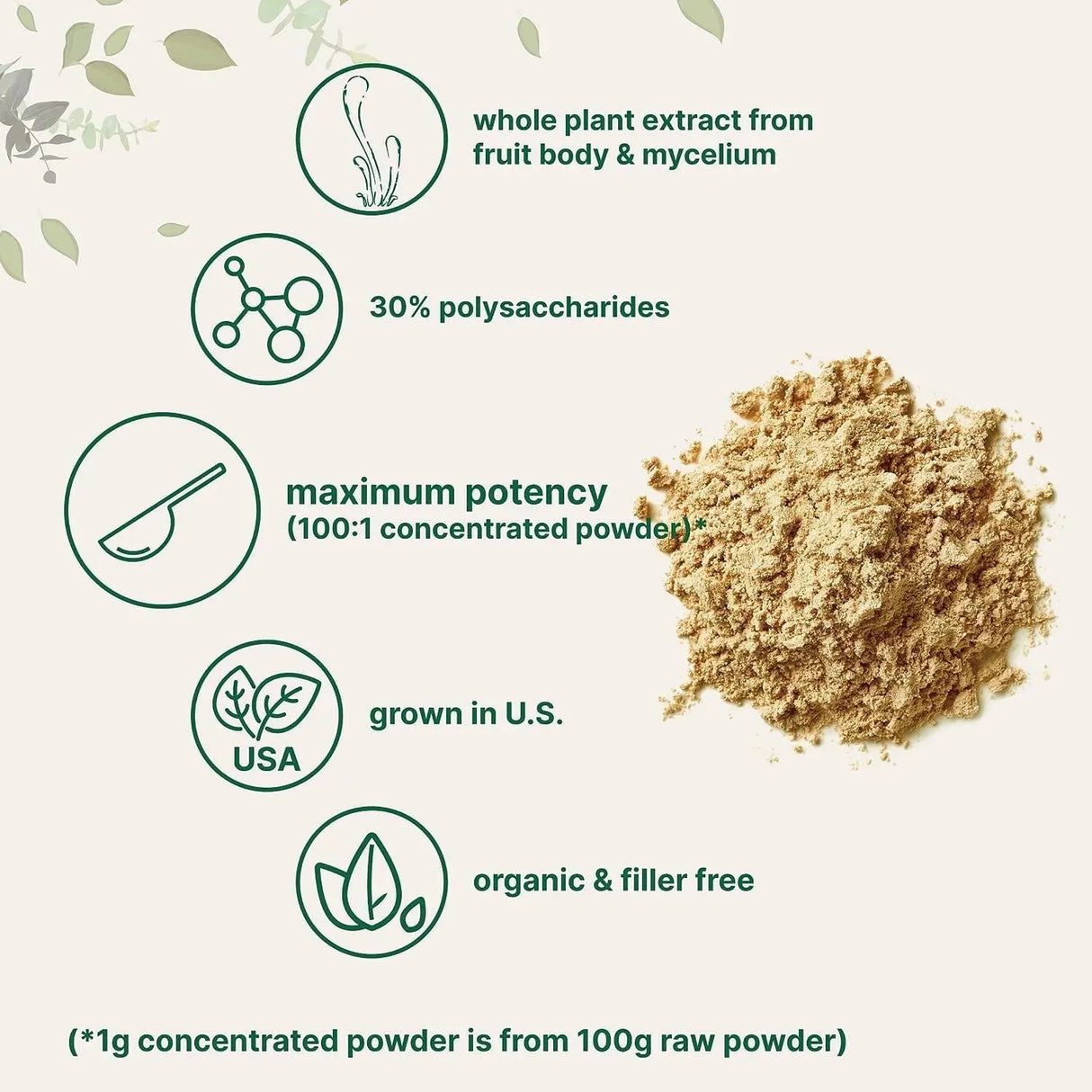 MICRO INGREDIENTS - Micro Ingredients Organic Cordyceps Mushroom Extract Powder 170Gr. - The Red Vitamin MX - Suplementos Alimenticios - {{ shop.shopifyCountryName }}