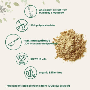 MICRO INGREDIENTS - Micro Ingredients Organic Cordyceps Mushroom Extract Powder 170Gr. - The Red Vitamin MX - Suplementos Alimenticios - {{ shop.shopifyCountryName }}