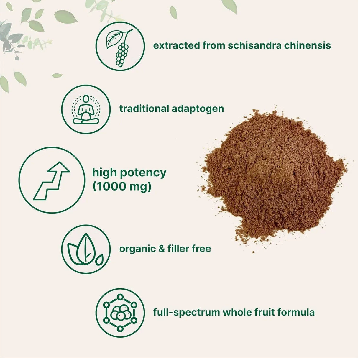MICRO INGREDIENTS - Micro Ingredients Organic Schisandra Extract Powder 227Gr. - The Red Vitamin MX - Suplementos Alimenticios - {{ shop.shopifyCountryName }}