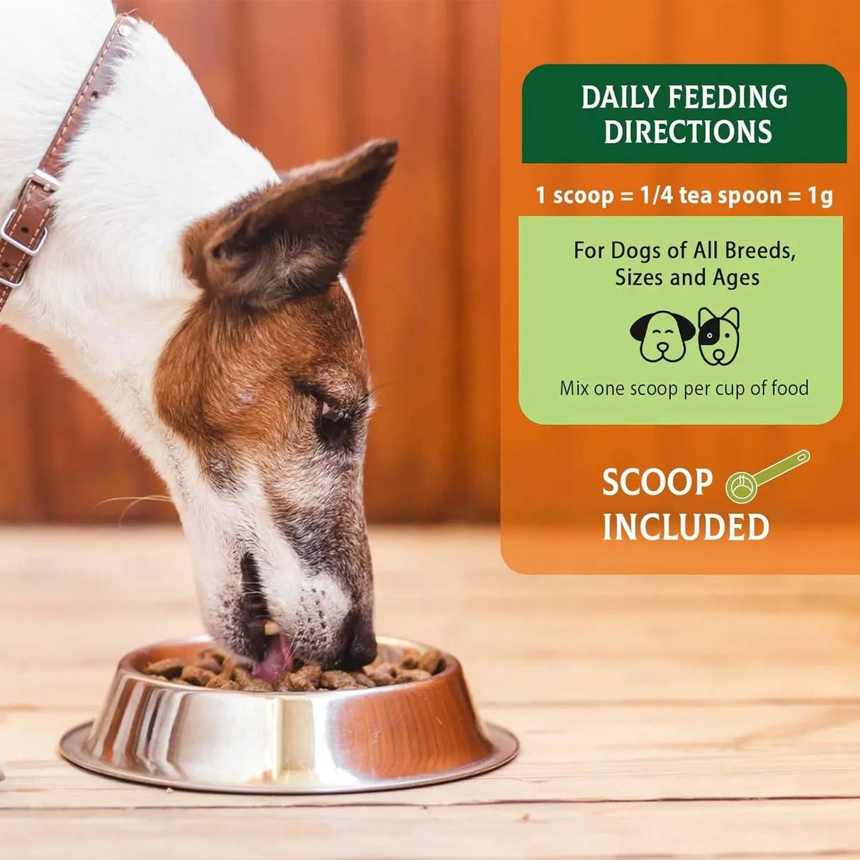 MOINGO - Moingo Probiotics Powder for Dogs 120 Servicios 120Gr. - The Red Vitamin MX - Probióticos Para Perros - {{ shop.shopifyCountryName }}